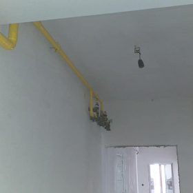Galerie Foto 56